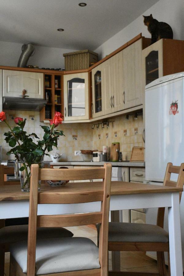 Apartament Rynek 11B Opole Exterior photo